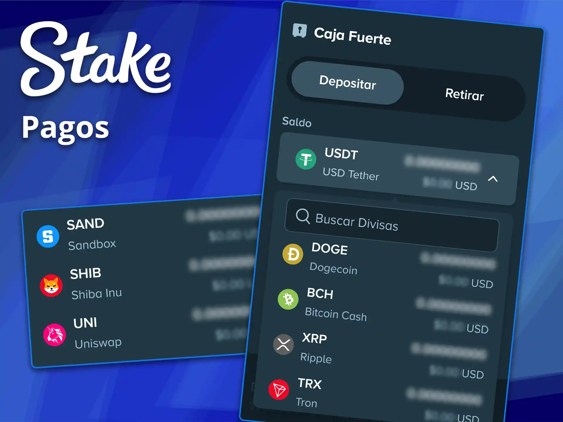 Gestione sus transacciones financieras de forma segura en la sección de pagos en la app de Stake.