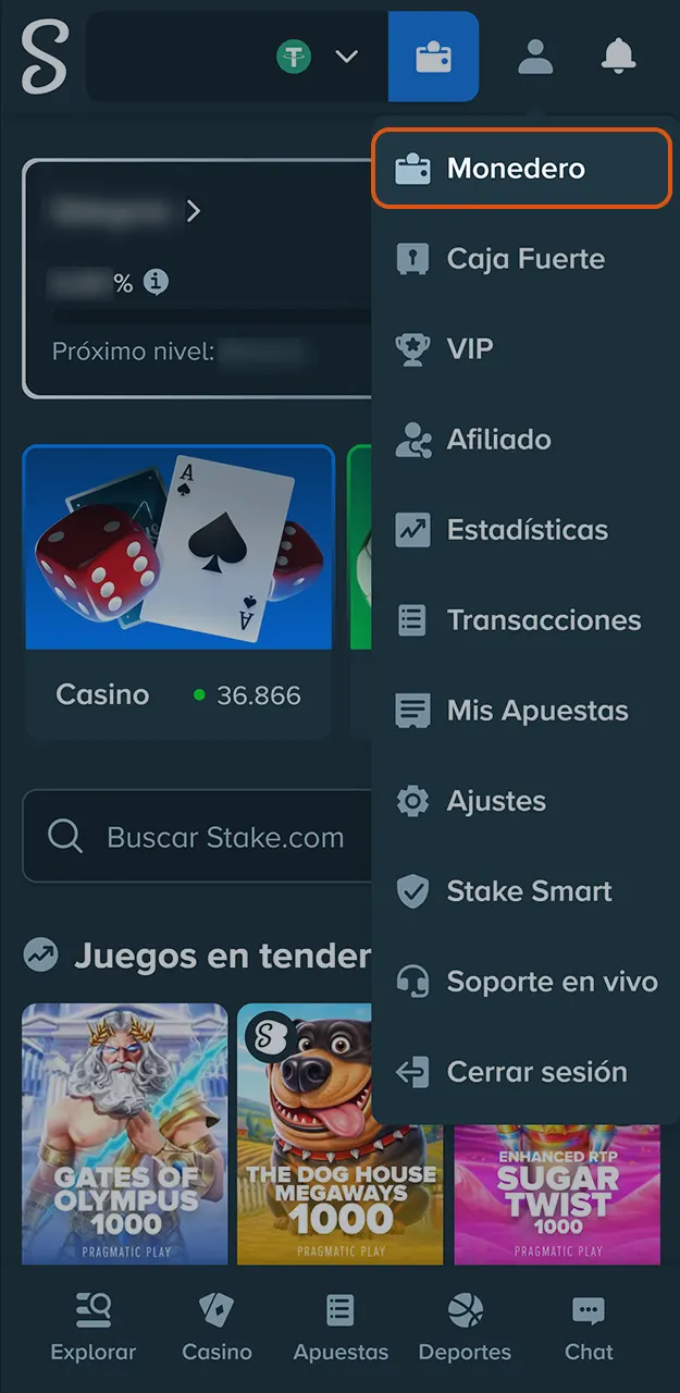 Introduzca fondos de manera segura y realizá tu depósito en Stake.